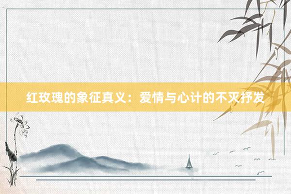 红玫瑰的象征真义：爱情与心计的不灭抒发