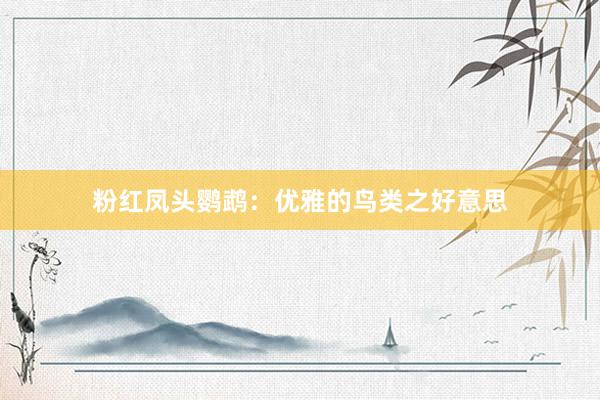 粉红凤头鹦鹉：优雅的鸟类之好意思