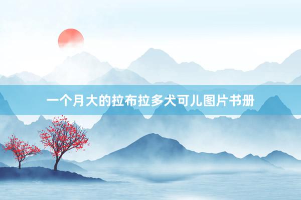 一个月大的拉布拉多犬可儿图片书册