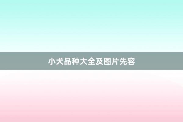 小犬品种大全及图片先容